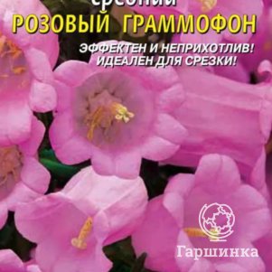 Семена  Колокольчик средний Розовый граммофон  0,1 гр Плазменные семена