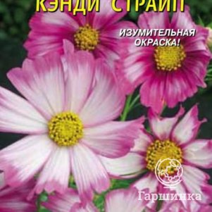 

Семена Космея Кэнди Страйп 30 шт Плазменные семена