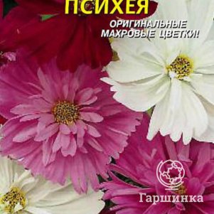 

Семена Космея Психея 0,2 г Плазменные семена