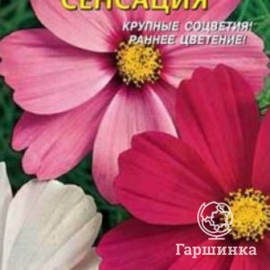 

Семена Космея Сенсация 45 шт Плазменные семена