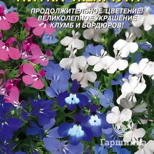 Семена  Лобелия Нитка жемчуга  0,03 гр Плазменные семена