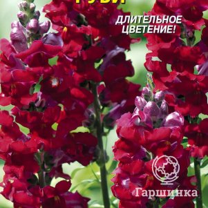 Семена  Львиный зев Руби  0,1 гр Плазменные семена
