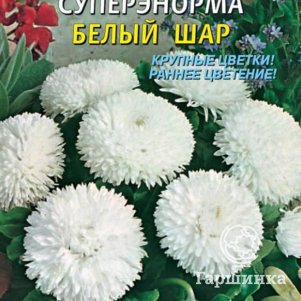 Семена  Маргаритка СуперЭнорма Белый шар  0,05гр Плазменные семена