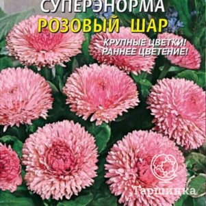 

Семена Маргаритка СуперЭнорма Розовый шар 0,05гр Плазменные семена