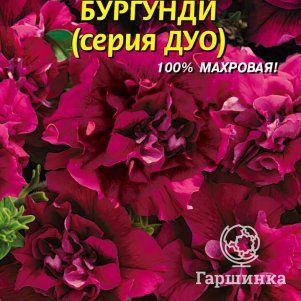 Семена  Петуния F1 (серия Дуо) Бургунди  10 шт Плазменные семена