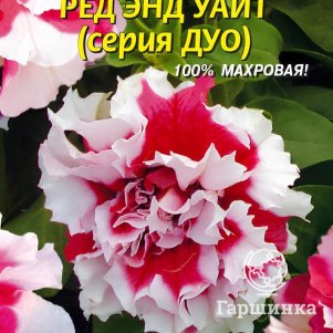 Семена  Петуния F1 (серия Дуо) Ред энд Уайт  10 шт Плазменные семена