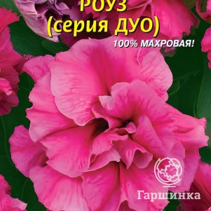 Семена  Петуния F1 (серия Дуо) Роуз  10 шт Плазменные семена