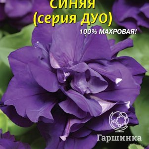 Семена  Петуния F1 (серия Дуо) Синяя  10 шт Плазменные семена