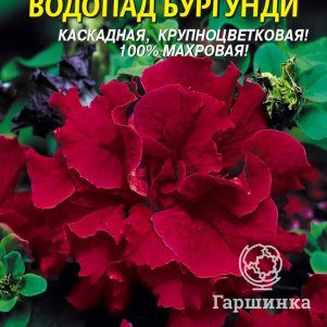 Семена  Петуния F1 Водопад Бургунди  10 шт Плазменные семена