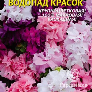 Семена  Петуния F1 Водопад Красок  10 шт Плазменные семена