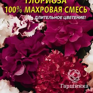 Семена  Петуния F1 Глориоза  10 шт Плазменные семена