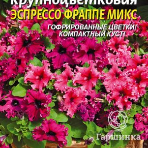 Семена Петуния F1 крупноцветковая Эспрессо Фраппе Микс 10 шт Плазменные семена 69₽