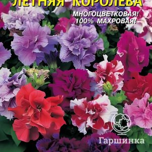 Семена  Петуния F1 Летняя королева  10 шт Плазменные семена