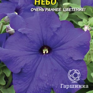 Семена  Петуния F1 Небо (серия Prism)  10 шт Плазменные семена