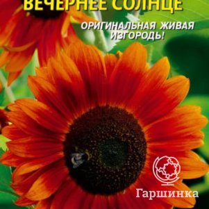 

Семена Подсолнечник Вечернее солнце 10 шт Плазменные семена