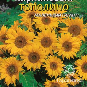 

Семена Подсолнечник карликовый Тополино 8 шт Плазменные семена