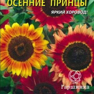 

Семена Подсолнечник Осенние принцы 12 шт Плазменные семена