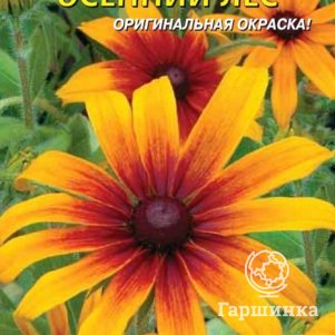 Семена  Рудбекия Осенний лес  0,1 гр Плазменные семена