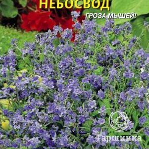 

Семена Чернокорень (Циноглоссум приятный) Небосвод 0,3 гр Плазменные семена