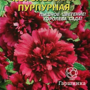 

Семена Шток-роза Королевская Пурпурная 0,1 гр Плазменные семена
