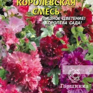 

Семена Шток-роза Королевская Смесь 0,1 гр Плазменные семена