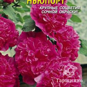 Семена  Шток-роза Ньюпорт  0,1 гр Плазменные семена