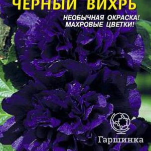 

Семена Шток-роза Чёрный вихрь 0,1 гр Плазменные семена