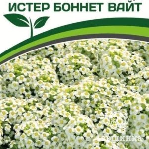 

Семена Алиссум морской Истер Боннет Вайт 0,01 гр. Партнер