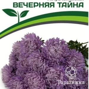 

Семена Астра китайская Вечерняя Тайна 5 шт. Партнер