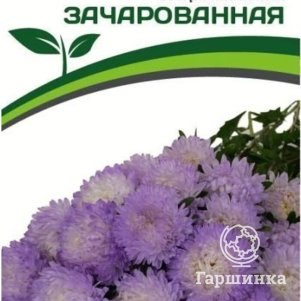 

Семена Астра китайская Зачарованная 5 шт. Партнер