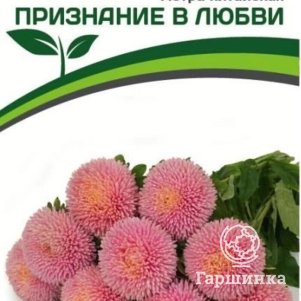 

Семена Астра китайская Признание в Любви 5 шт. Партнер