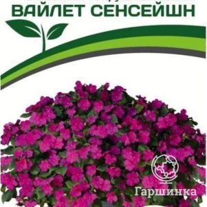 

Семена Бальзамин F1 Уоллера крупноцветковый Вайлет Сенсейшн 5 шт. Партнер