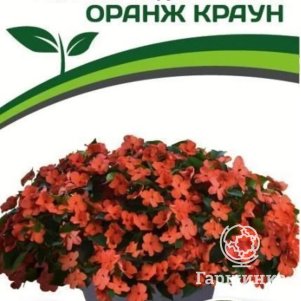 

Семена Бальзамин F1 Уоллера крупноцветковый Оранж Краун 5 шт. Партнер