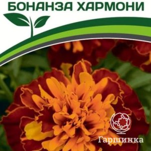 

Семена Бархатцы отклоненные Бонанза Хармони 10 шт. Партнер
