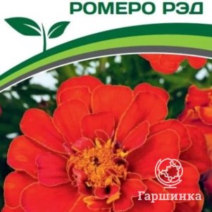 

Семена Бархатцы отклоненные Ромеро Рэд 10 шт. Партнер