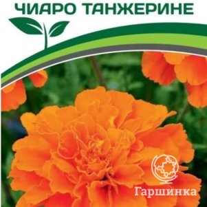 

Семена Бархатцы отклоненные Чиаро Танжерине 10 шт. Партнер