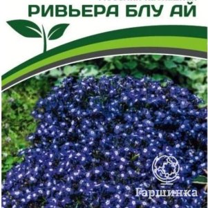 

Семена Лобелия каскадная Ривьера Блу Ай (снова в продаже) 10 шт. Партнер