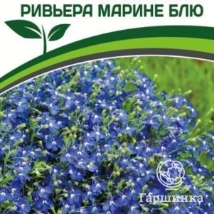 

Семена Лобелия каскадная Ривьера Марине Блю 10 шт. Партнер