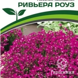 

Семена Лобелия каскадная Ривьера Роуз 10 шт. Партнер