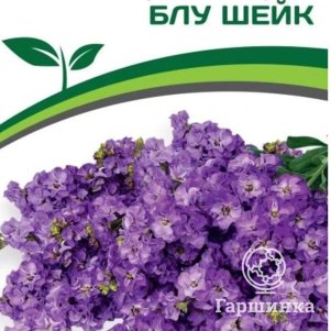 

Семена Маттиола срезочная махровая "Бьютифул Парфюм" Блу Шейк 10 шт. Партнер