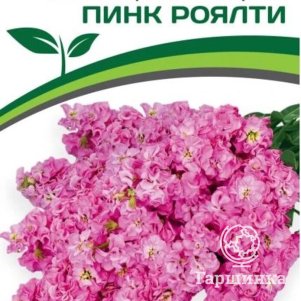 

Семена Маттиола срезочная махровая "Бьютифул Парфюм" Пинк Роялти 10 шт. Партнер