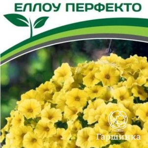 

Семена Петхоа Еллоу Перфекто F1 (снова в продаже) 5 шт. Партнер