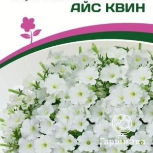 

Семена Петуния "Зацветёт" Long Айс Квин F1 многоцветковая ампельная 5 шт. Партнер