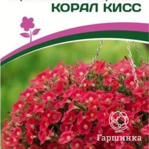 

Семена Петуния "Зацветёт" Middl Корал Кисс F1 полуампельная 5 шт. Партнер