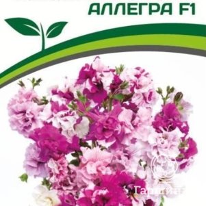 

Семена Петуния махровая срезочная Аллегра F1 5 шт. Партнер