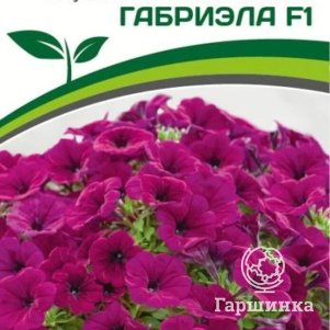 

Семена Петуния "Амбре" Габриэла F1 каскадная фиолетовая 5 шт. Партнер