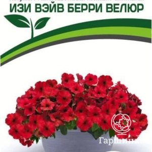 

Семена Петуния "Изи Вэйв" Берри Велюр F1 каскадно-ампельная 5 шт. Партнер