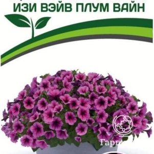 

Семена Петуния "Изи Вэйв" Плум Вайн F1 каскадно-ампельная 5 шт. Партнер