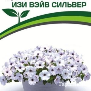 

Семена Петуния "Изи Вэйв" Сильвер F1 каскадно-ампельная 5 шт. Партнер
