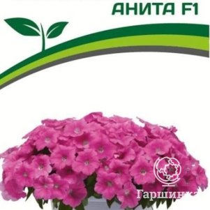 

Семена Петуния "Итальянка" Анита F1 каскадная розовая 5 шт. Партнер